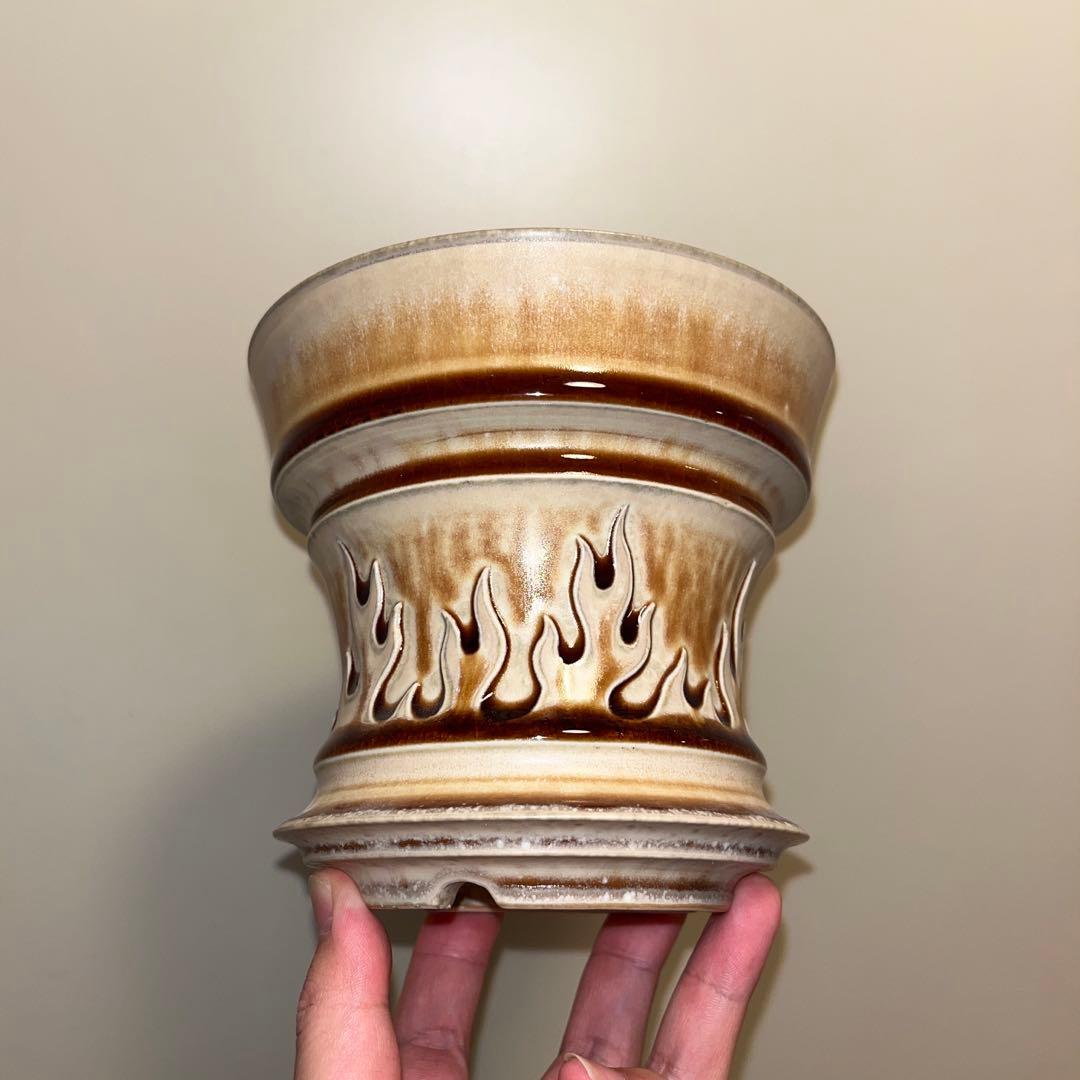 XL SIZE 植木鉢 作家鉢 アガベ グラキリス チタノタ 白鯨 黒火焔 陽炎