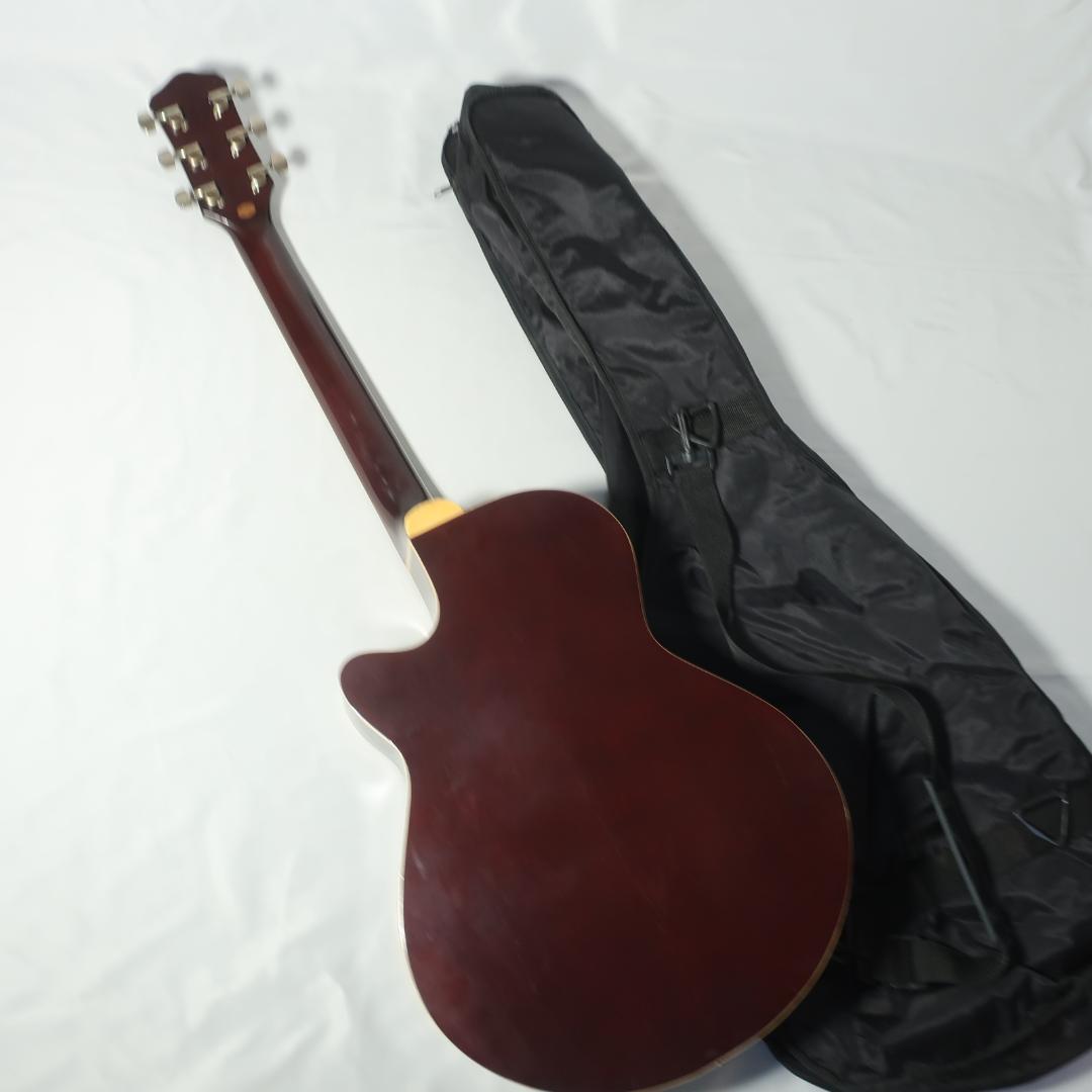 Pro Martin EAW-350 WRS エレアコ ギター ケース付