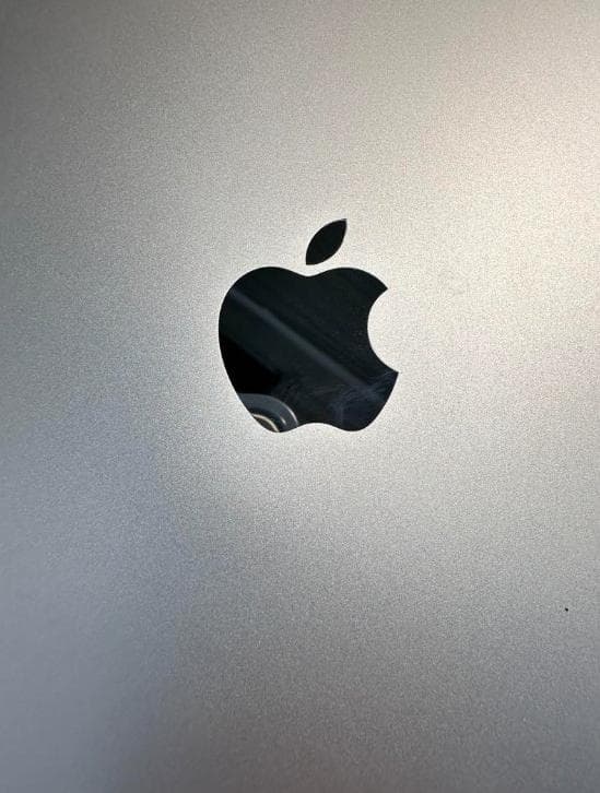 Apple iPad Pro 12.9 第3世代 Wi-Fi 256GB 本体