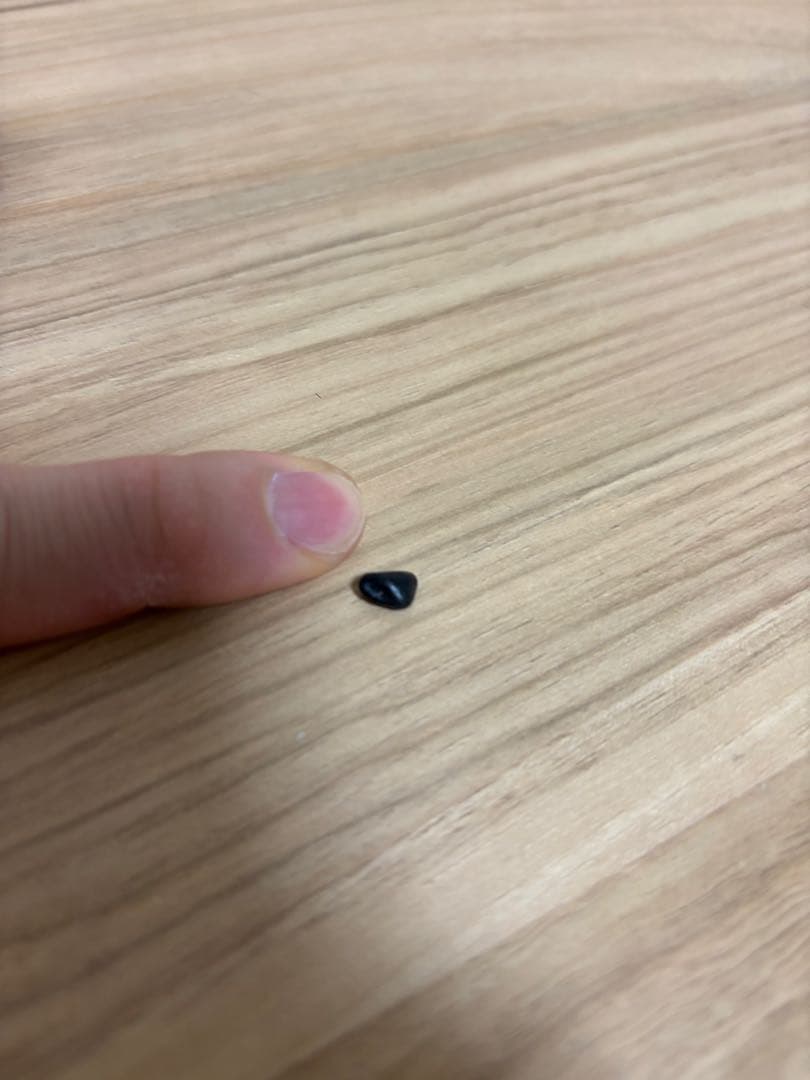 小学校一年生が拾った黒い小石