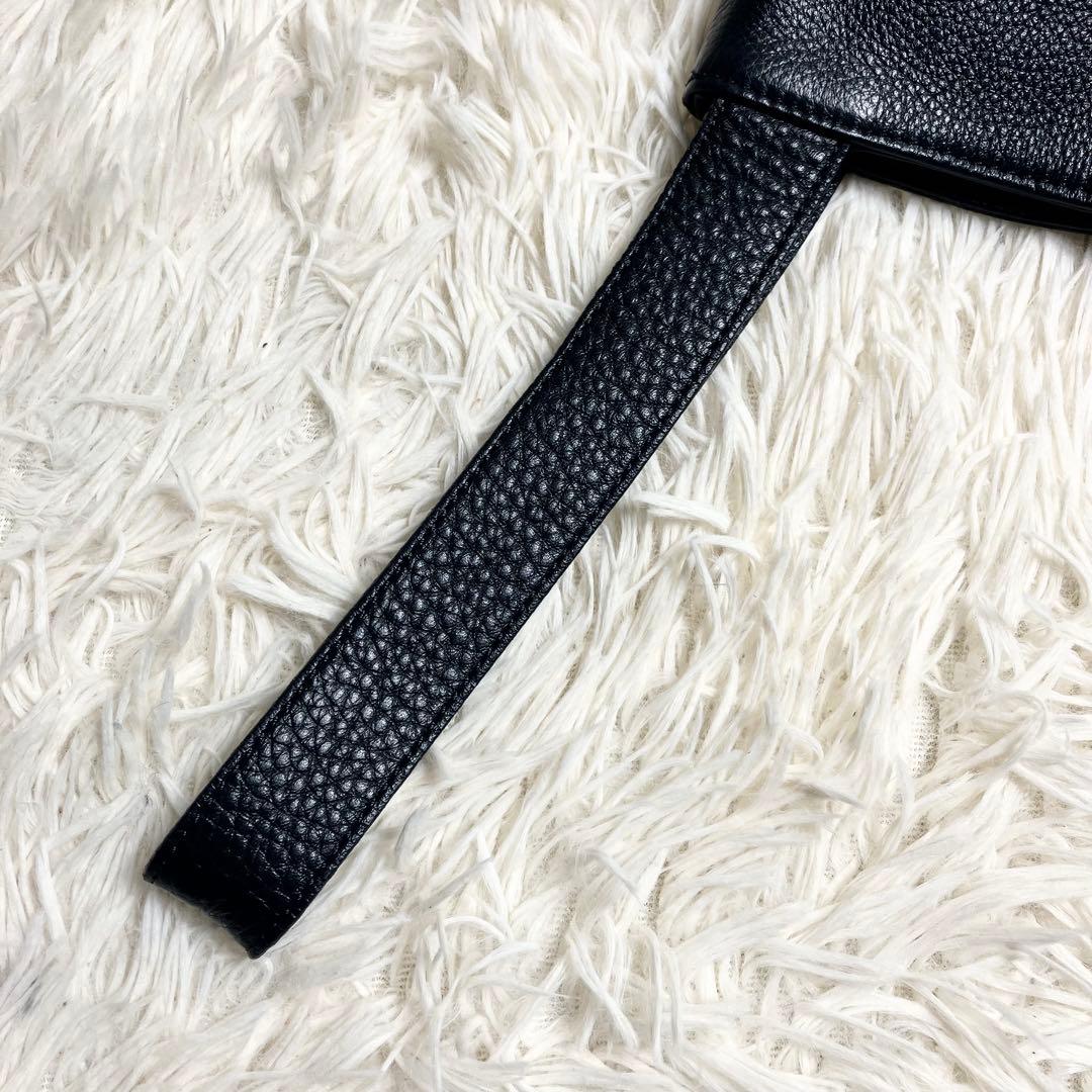 【美品・希少】ペッレモルビダ ハンドバッグ 10th アニバーサリー ブラック