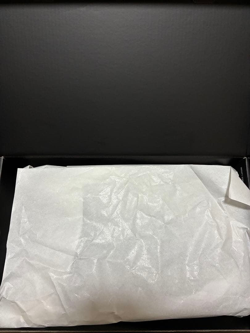 Nike バスケットボールシューズ グレー