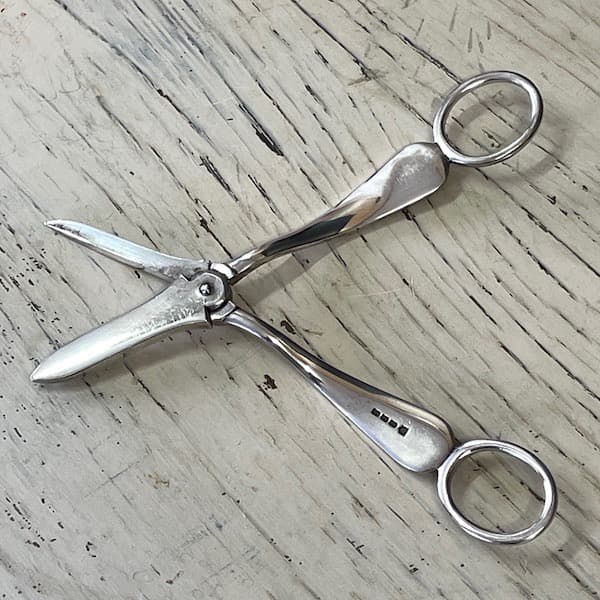 アンティーク　葡萄用ハサミ　グレープシザー　シルバー　装飾