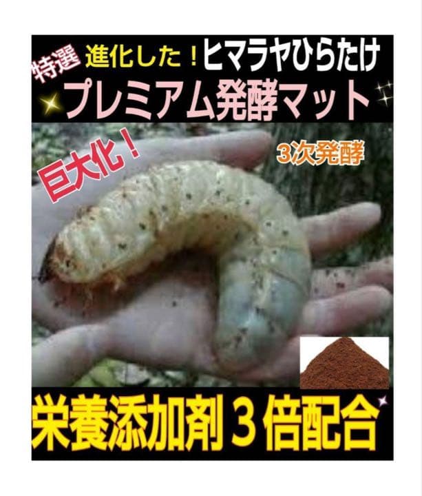 大人気！雑虫がわかない！完全室内製造！極上！プレミアム発酵カブトムシマット　5袋