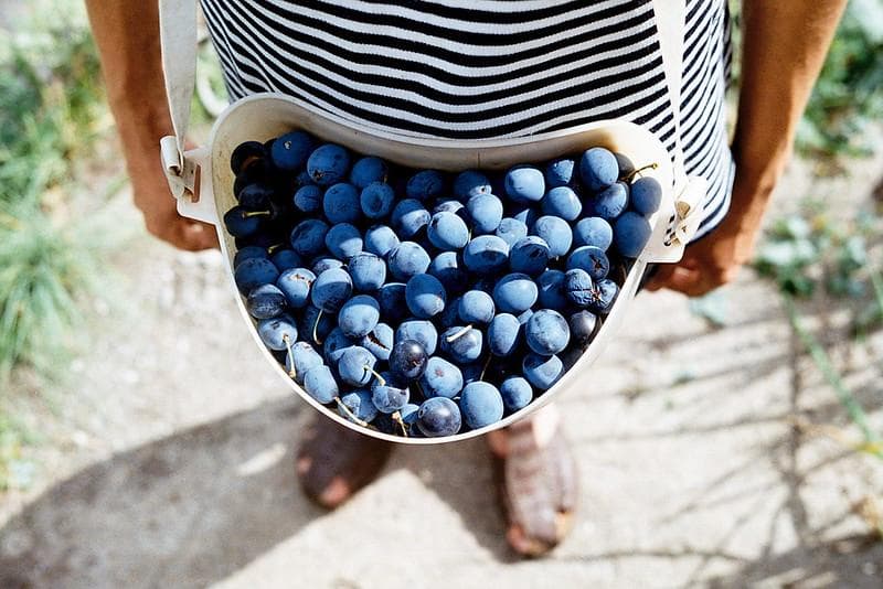 32　美品【希少】星ボケIndustar61 L/Z MC 50mm f2.8