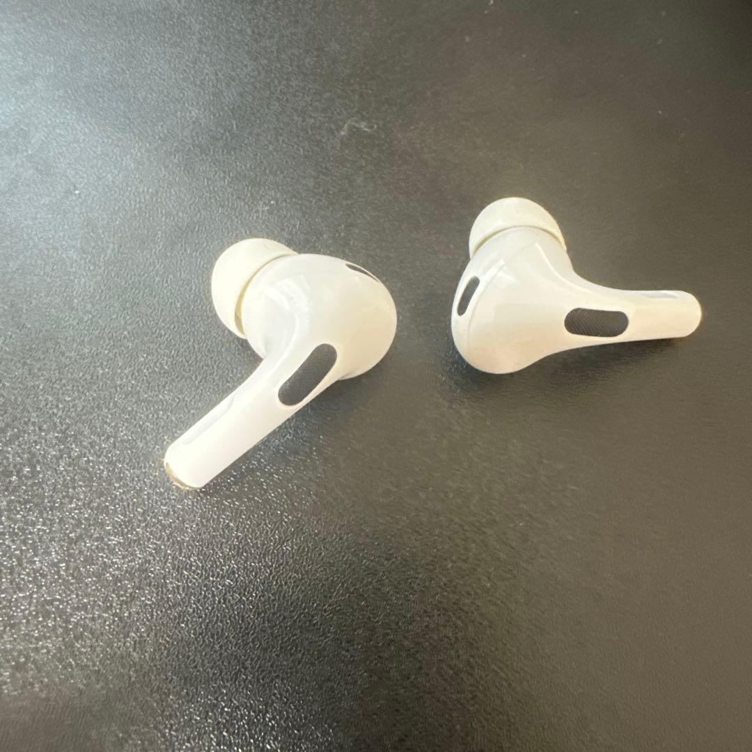 Apple AirPods Pro ケース無し