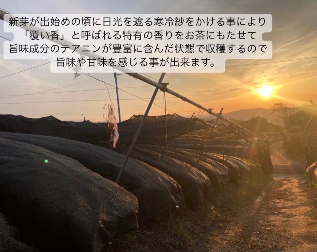 【農薬不使用】パウダー10種類飲み比べセット30本各(3本入り×10種類)