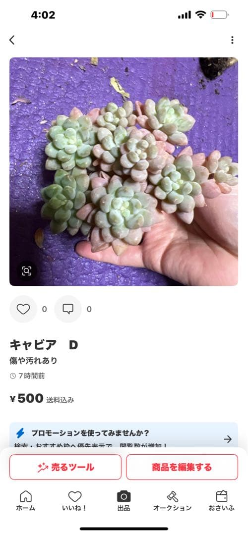 マキマキ様