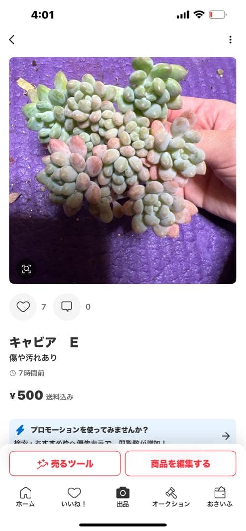 マキマキ様