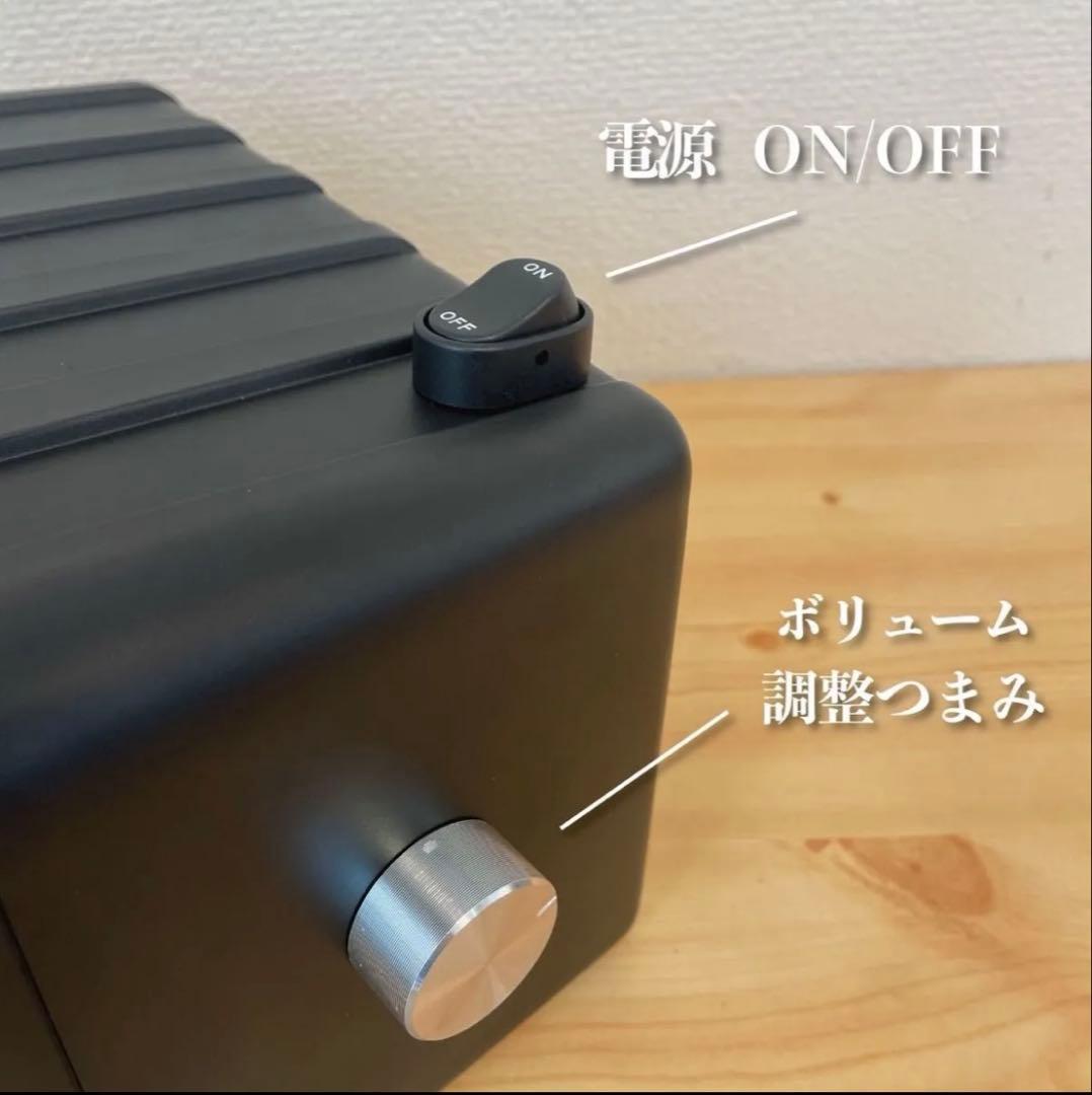 BOSE 101mm Bluetoothスピーカー 2173