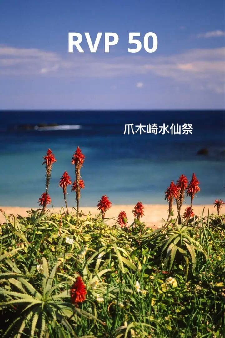 Canon 1N-HS フィルムカメラ 実用品