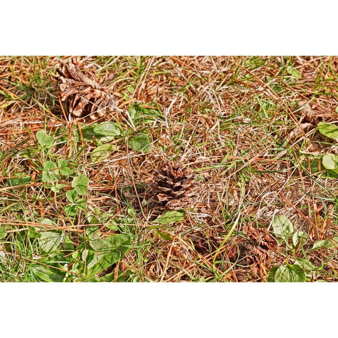 りずページ② ❤FUJIFILM XC 15-45mmレンズのみ