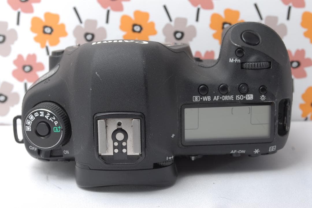 ❤Canon EOS 5D MarkⅢ❤カメラバッグ付き❤美品❤ショット数少ない