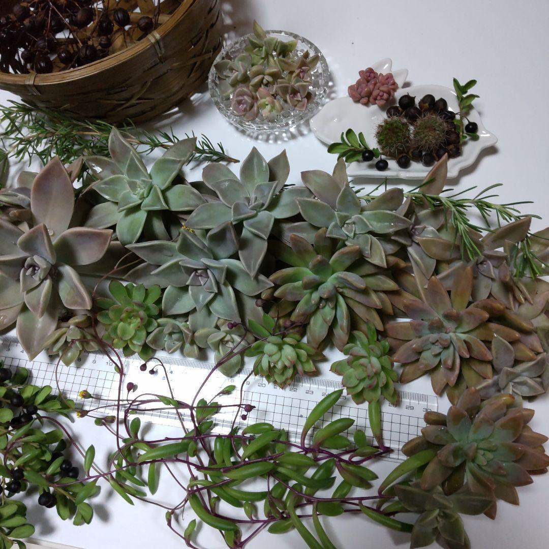 TOKIE様✤専用商品♥♥♥