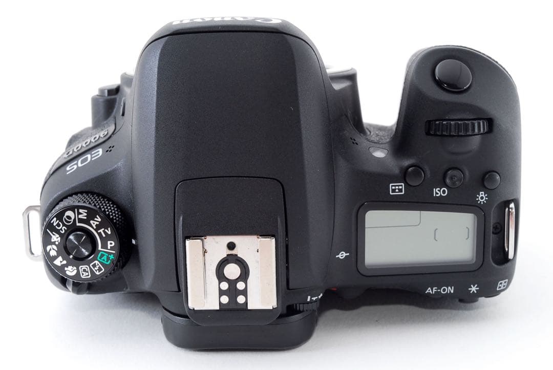 人気機種　キャノン Canon EOS 9000D　標準＆望遠ダブルレンズセット