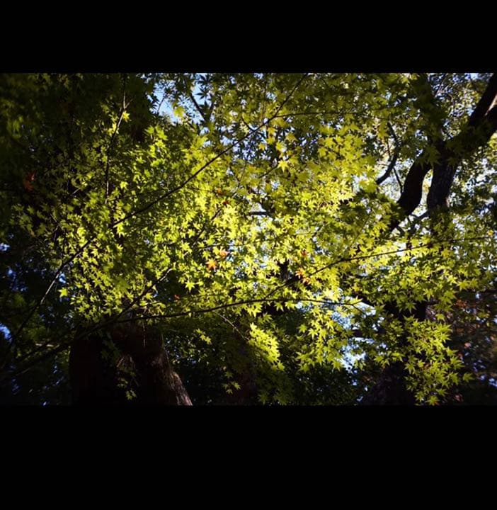 FUJIFILMミラーレス用　25mm F1.8 単焦点レンズ！サードパーティ