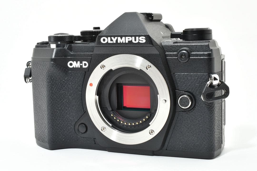 【ショット数2501回】OLYMPUS OM-D E-M5 Mark III