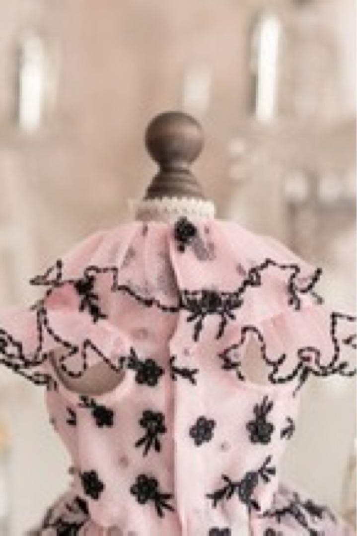 Pet a Portre (ペット ア ポルテ) Jour de Neige