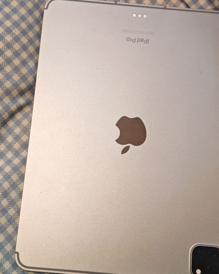 iPad Pro (11インチ) 第4世代 256GB cellular