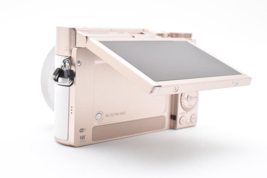 【美品】 パナソニック Panasonic LUMIX DC-GF9