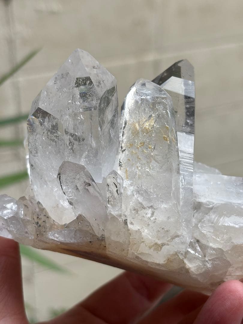 コロンビア　レムリアンクラスター　刺さるような圧巻の透明度　見事　548g.