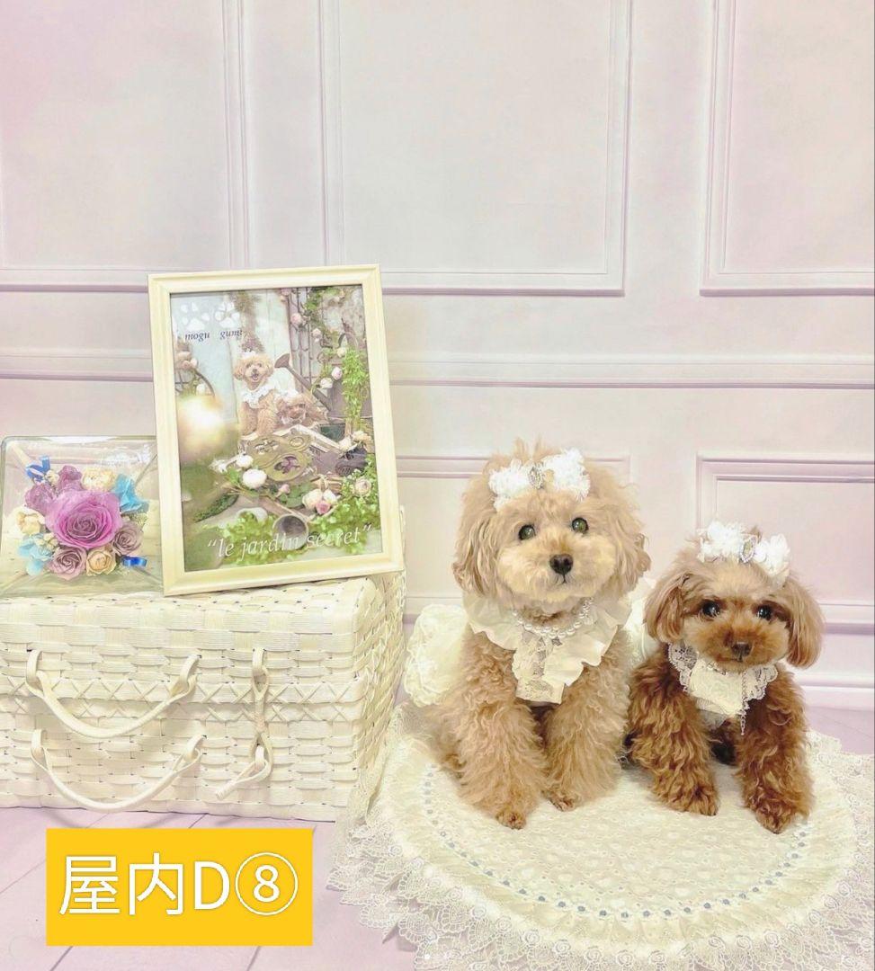 背景布【　スタジオ風　】　サンプル　ニューボーンフォト、ペット、ドール撮影用