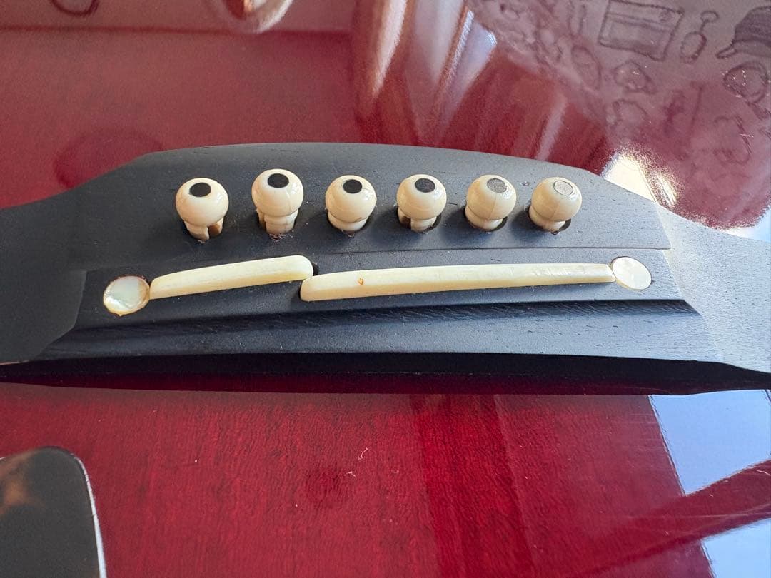 ギター Takamine DMP50S WR