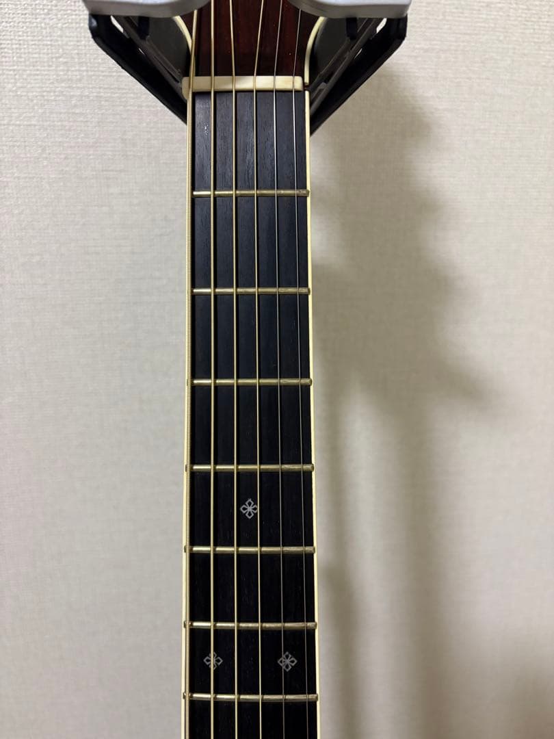 ギター Takamine DMP50S WR