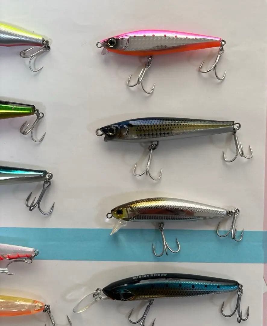 シーバス、青物、セット売り