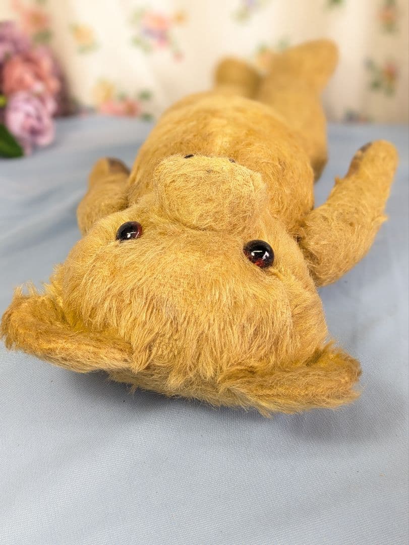 イギリス アンティーク テディベア アンティークベア 40cm