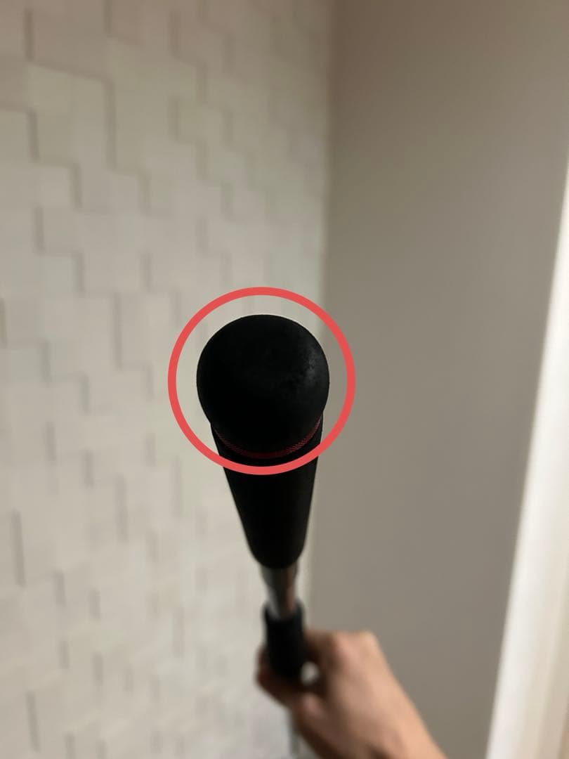 まよいまいまい