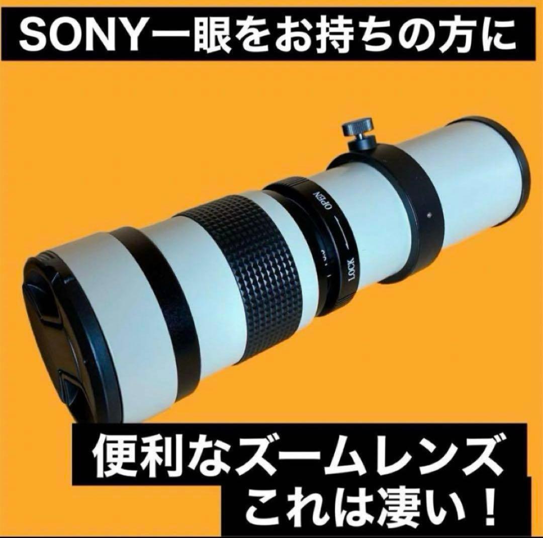 SONY ミラーレス用 超望遠レンズ　サードパーティ製　初心者でもOK サポート