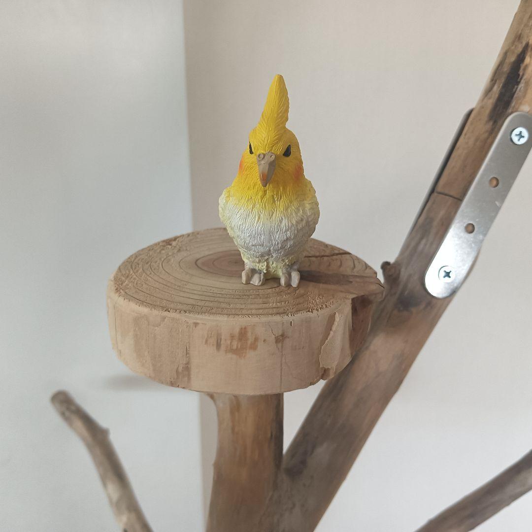 バードアスレチックジム大型 ② 天然木 自然木 流木 インコ おもちゃ