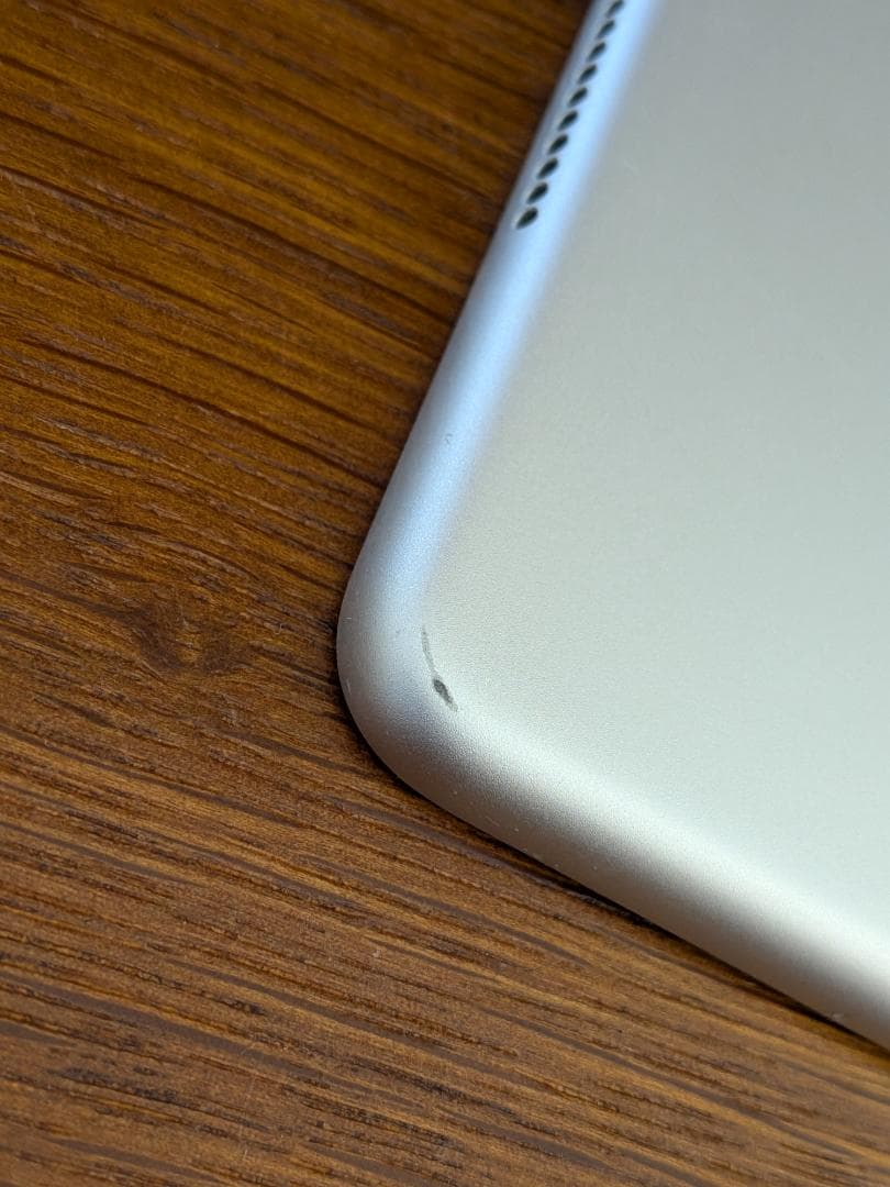 iPad mini 第5世代 Wi-Fi+Cellular 256GB