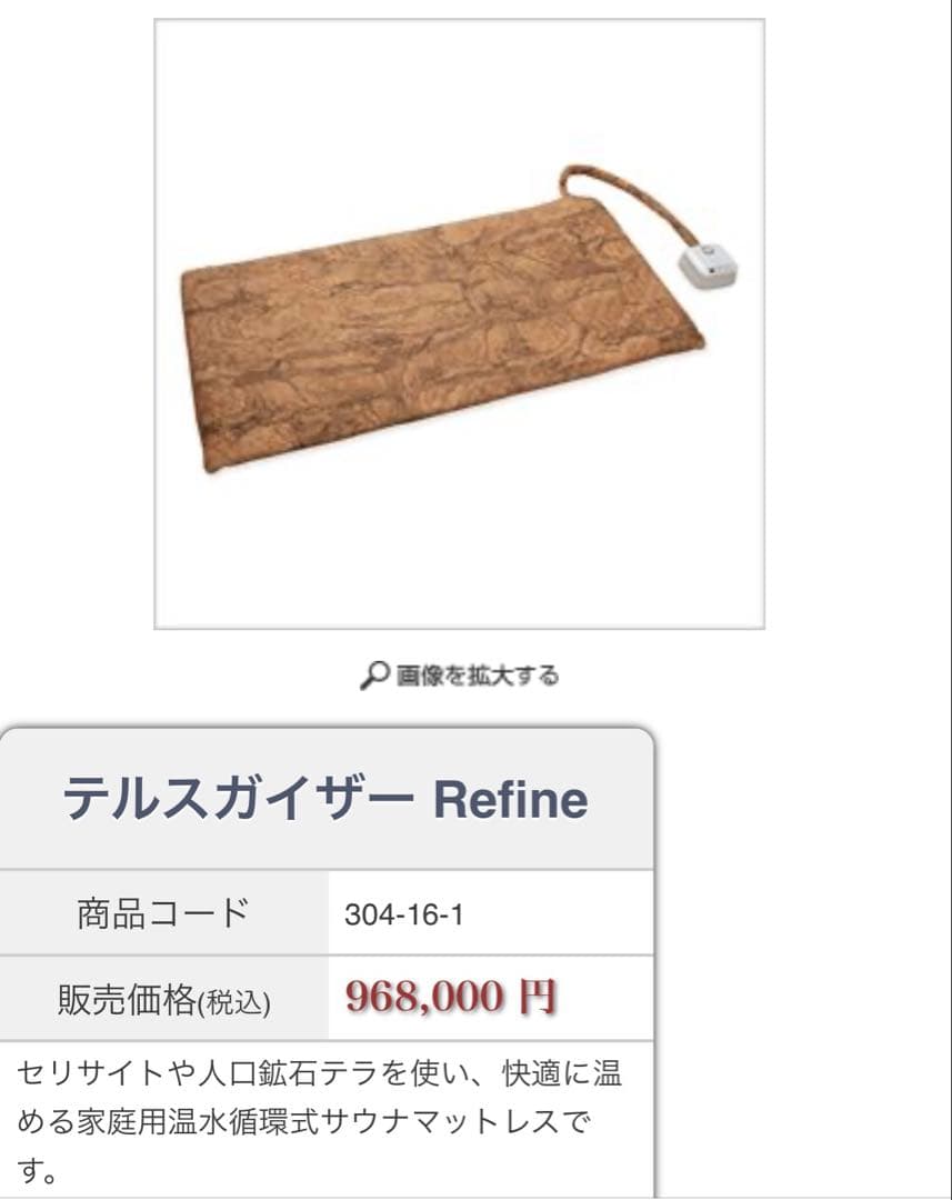 テルスガイザー　マットレス＋掛布団