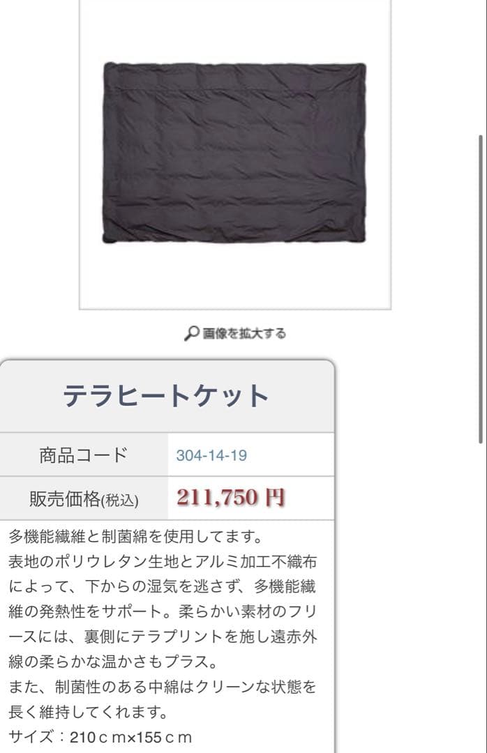 テルスガイザー　マットレス＋掛布団