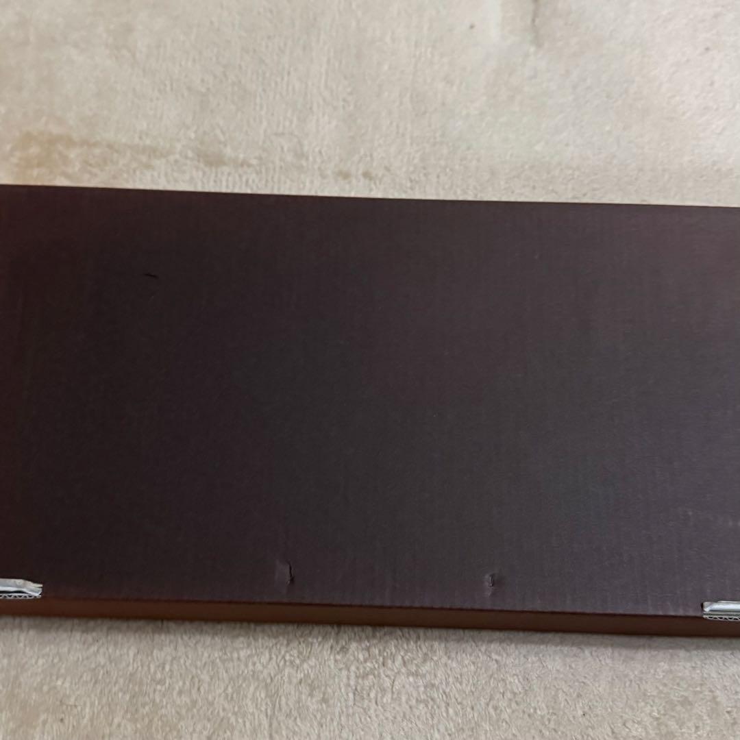 【未使用】フロッグプロダクツ　ブライト　フロッググリップ　モノクロモンドリアン