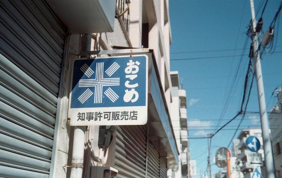 minolta Minoltina-P 中古 フィルムカメラ 撮影サンプルあり