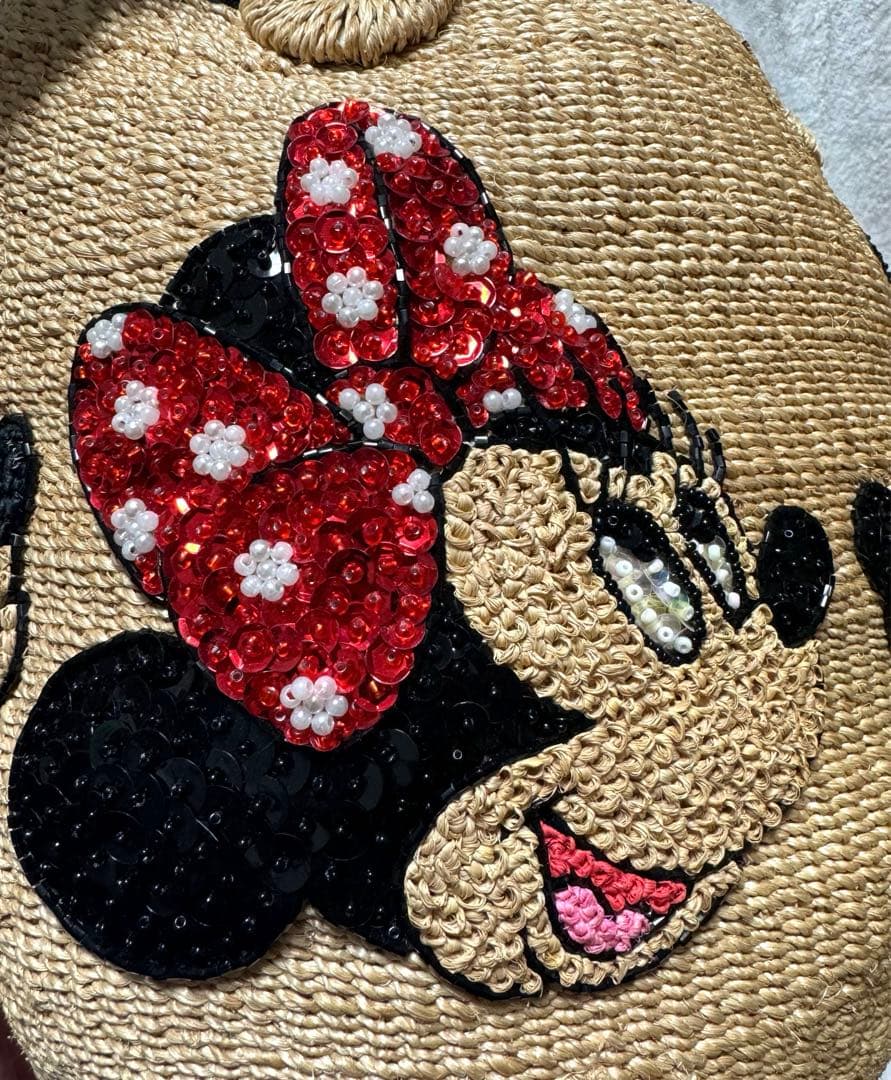 ビームスボーイ 20th 別注 Disney オールスター カゴバッグ