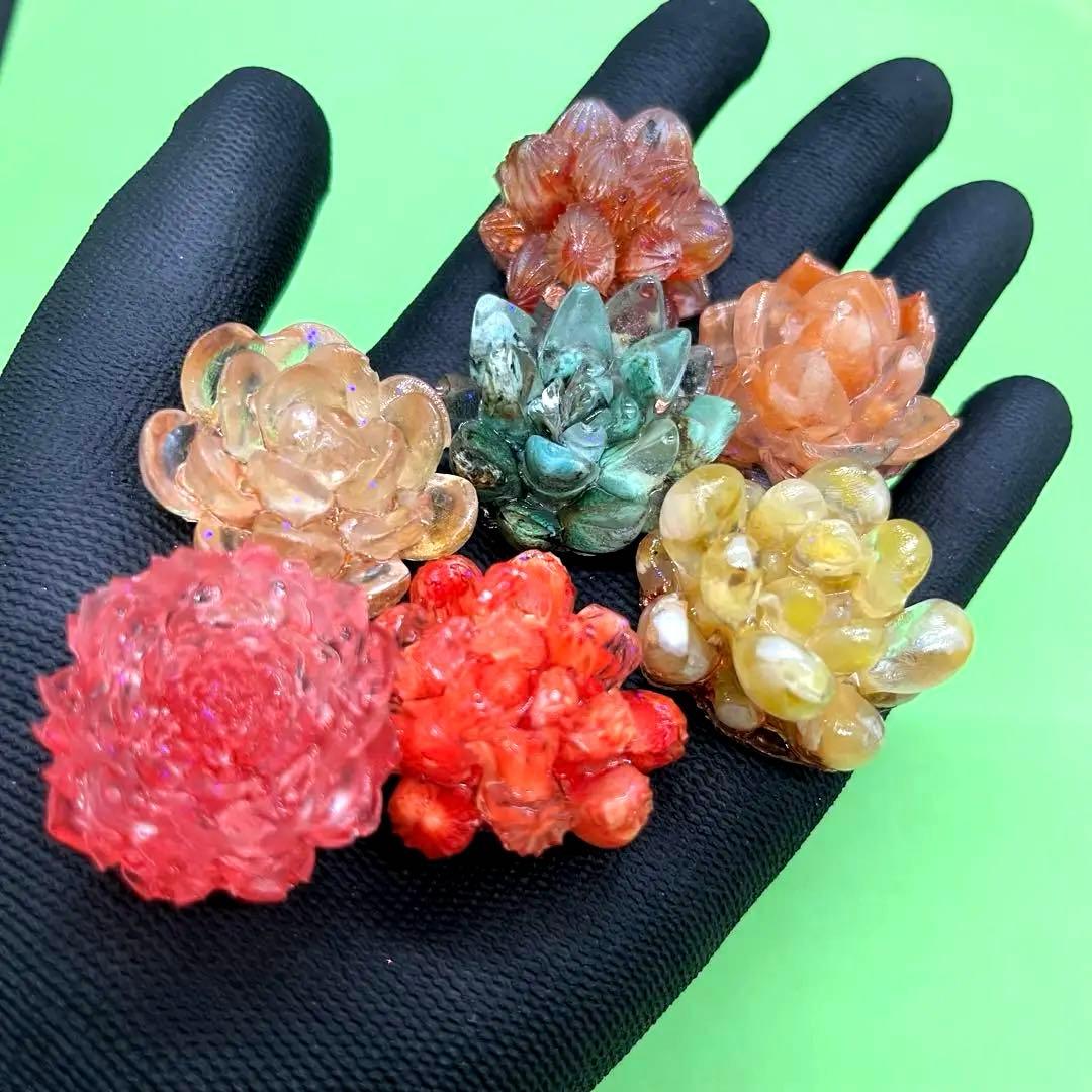 つねりん 多肉植物のオルゴナイト全10点セット