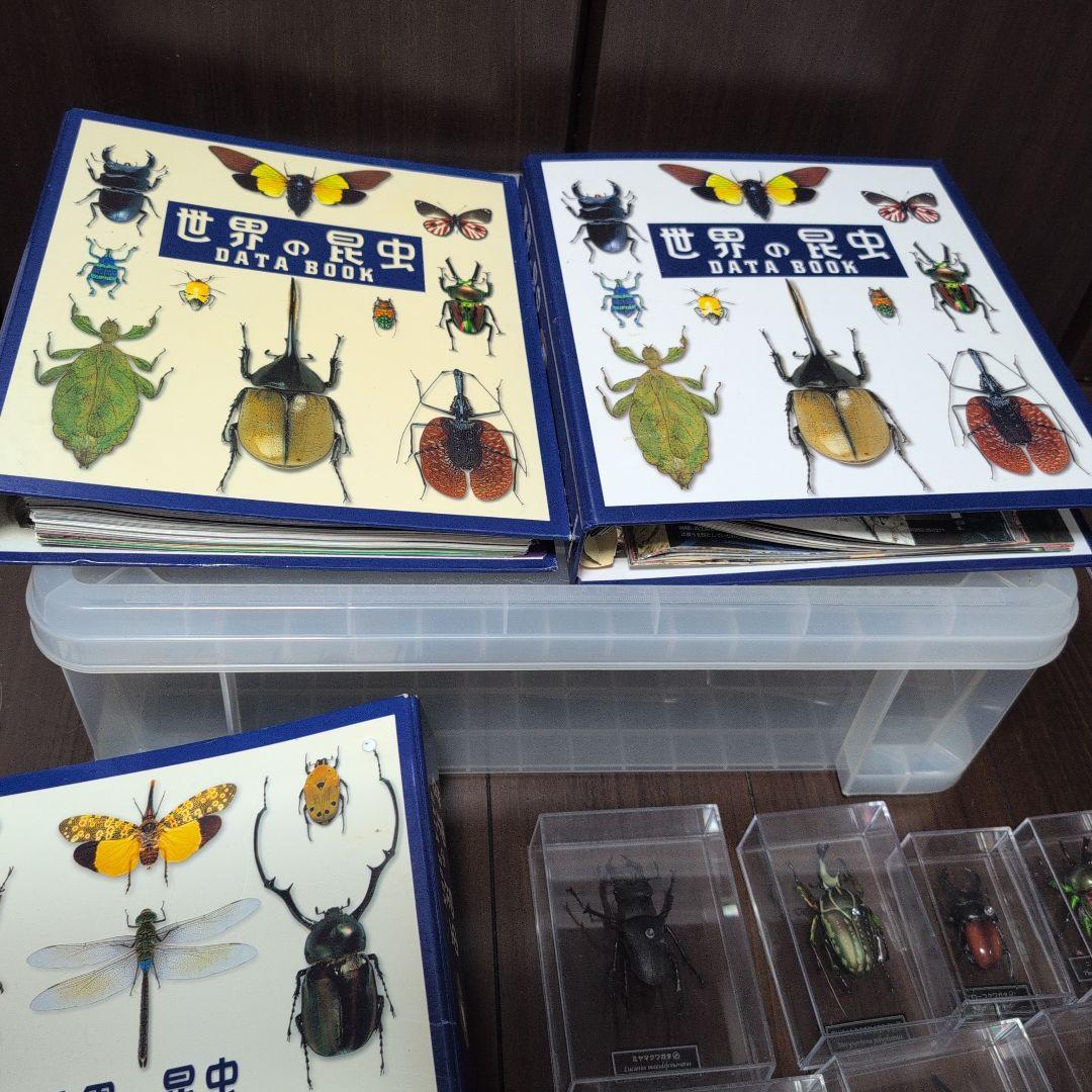 53体！！ディアゴスティーニ　世界の昆虫　データブック4冊