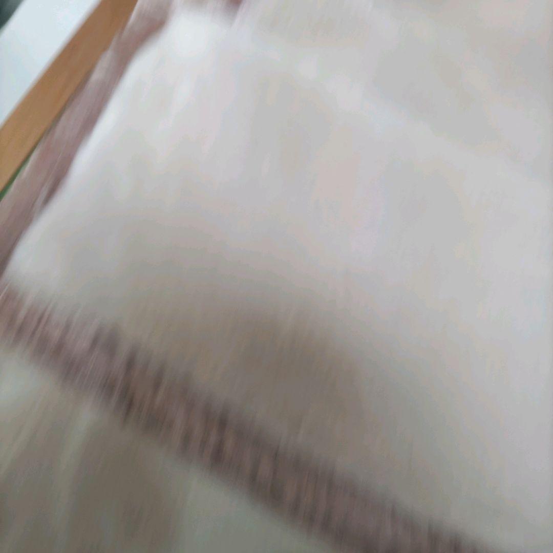 年末年始格安　新品信頼実績の西川日本製泉大津製　衿付マイヤー合わせ毛布シングルP