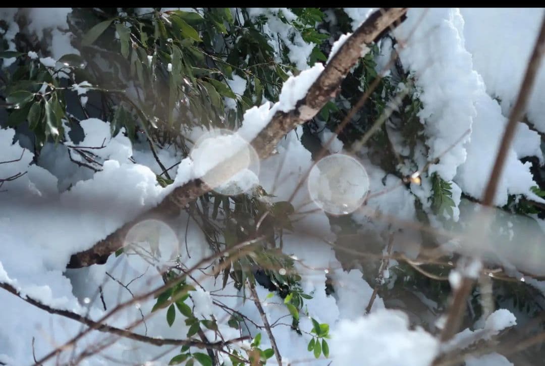 断*離様 Canon PowerShot G7 X Mark II