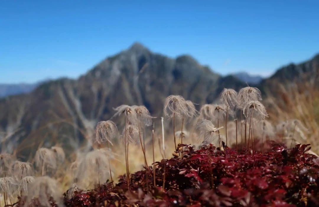 断*離様 Canon PowerShot G7 X Mark II