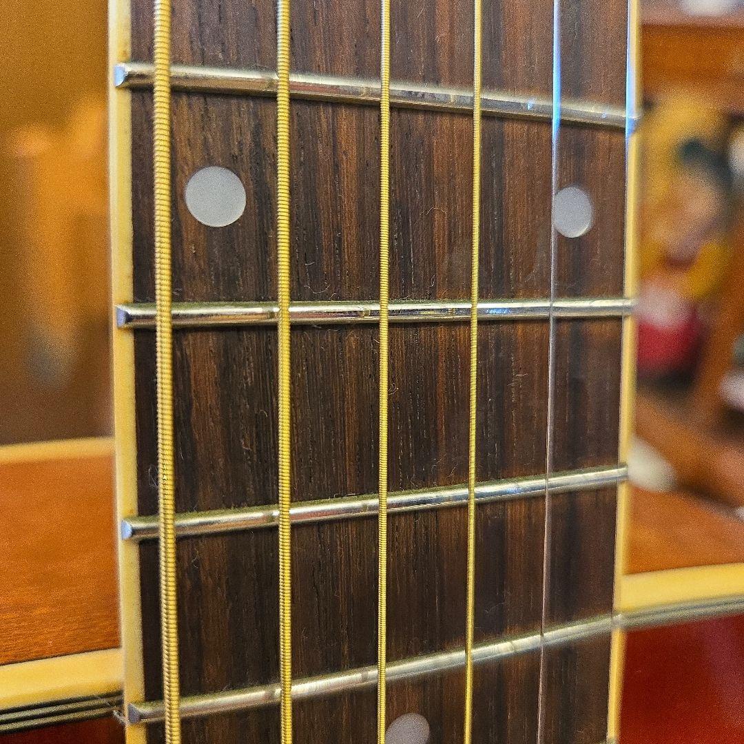 Aria ADW-200 TS アコースティックギター