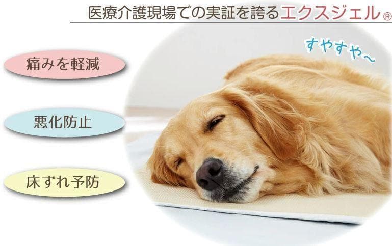 エクスジェルマット スムース Ｍ 床ずれ防止 介護用マット 床ずれ対策 ペット用