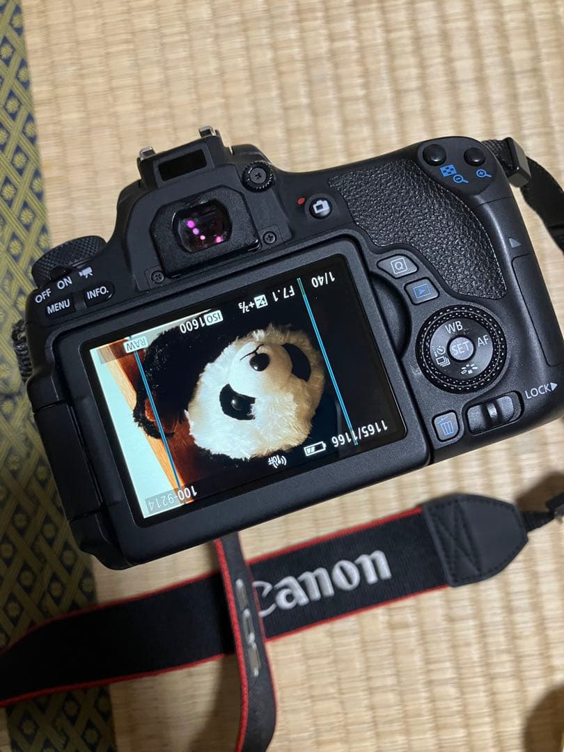 Canon EOS 8000D デジタル一眼レフカメラ 18-135レンズキット