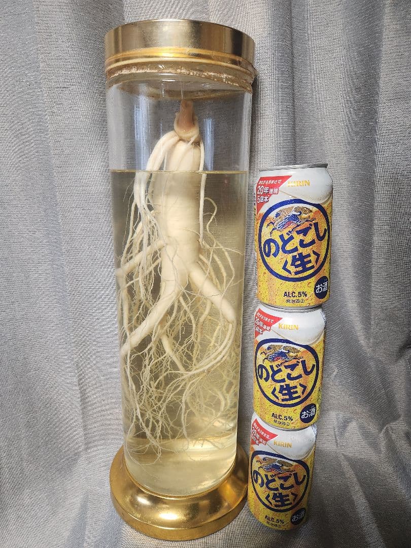 高麗人参酒