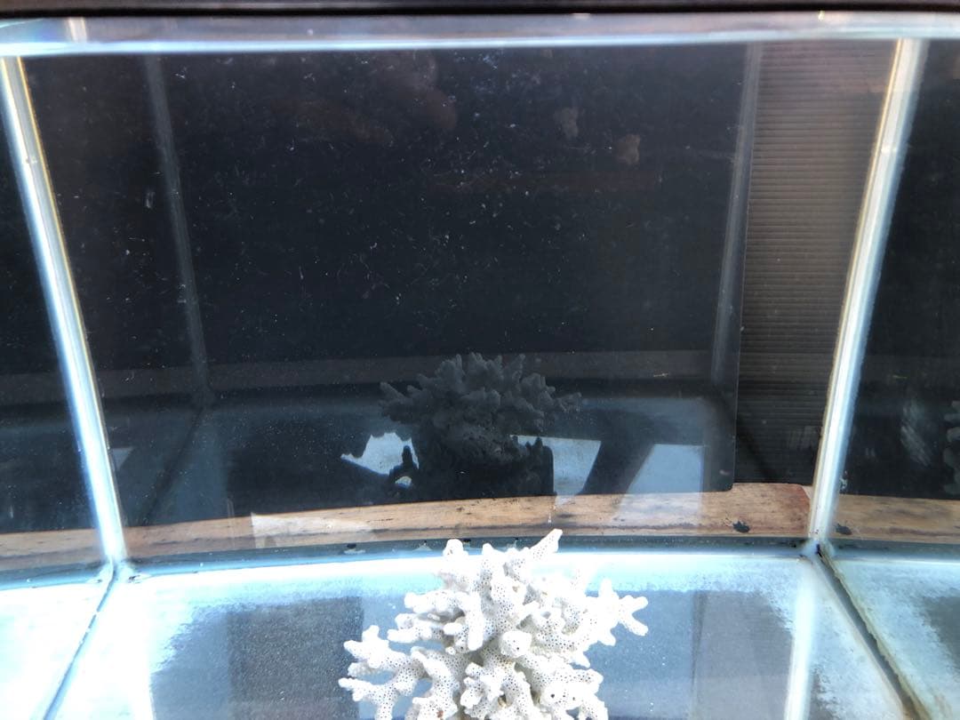 か*ん様 水槽45×30×H36cm 2本