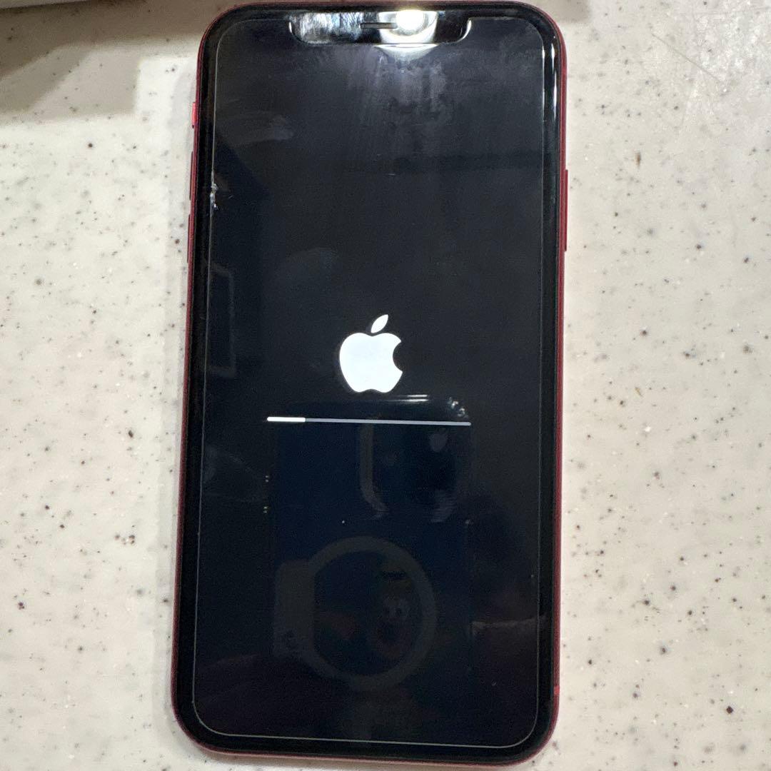 Apple iPhone 11 (PRODUCT RED) 本体